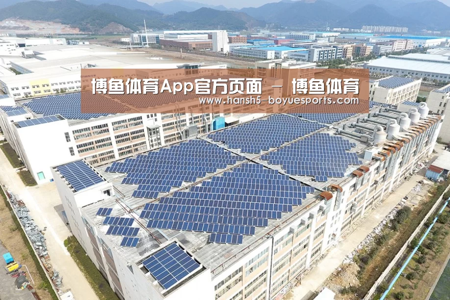 案例展示一