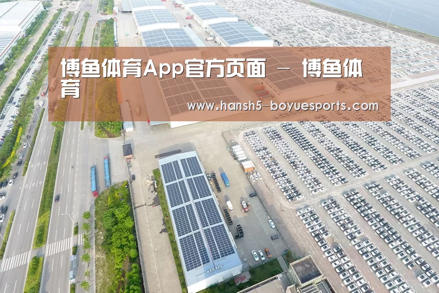 案例展示四