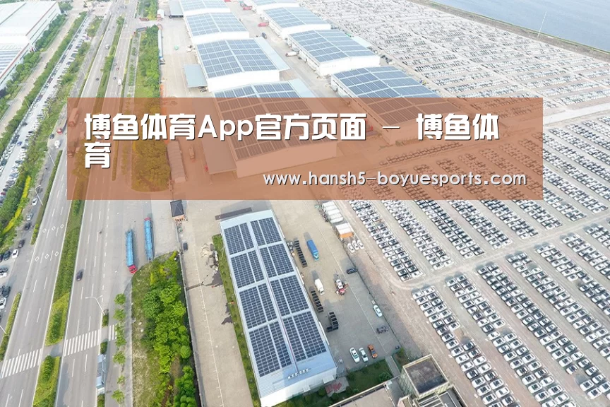 案例展示三