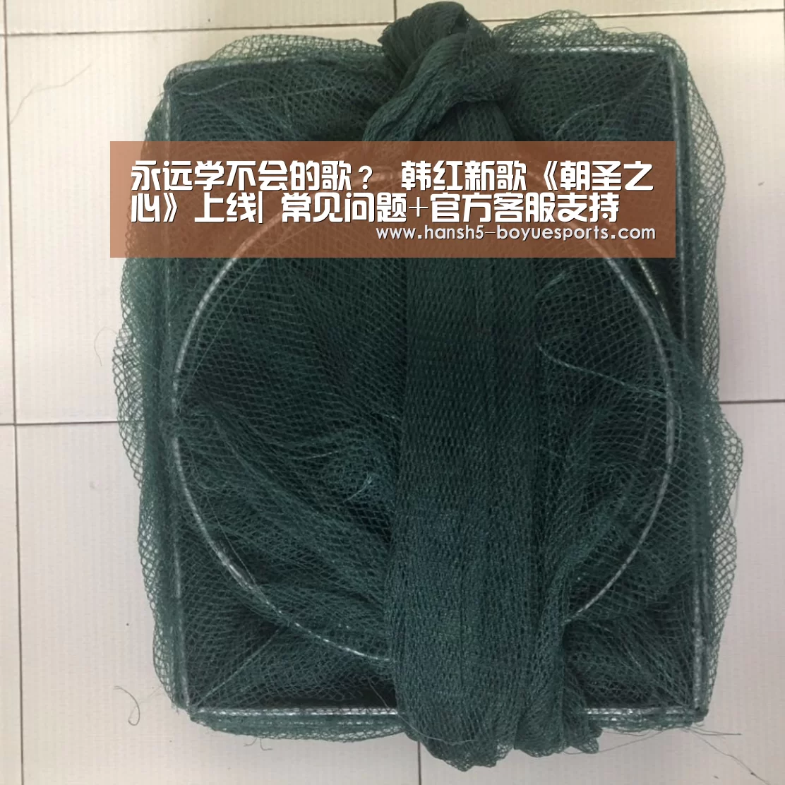 博鱼体育帮助中心 