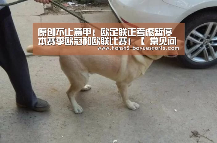 博鱼体育帮助中心 
