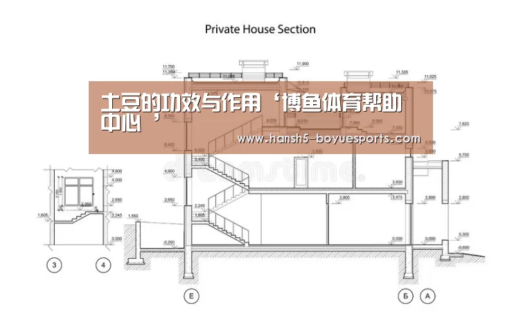 博鱼体育帮助中心 