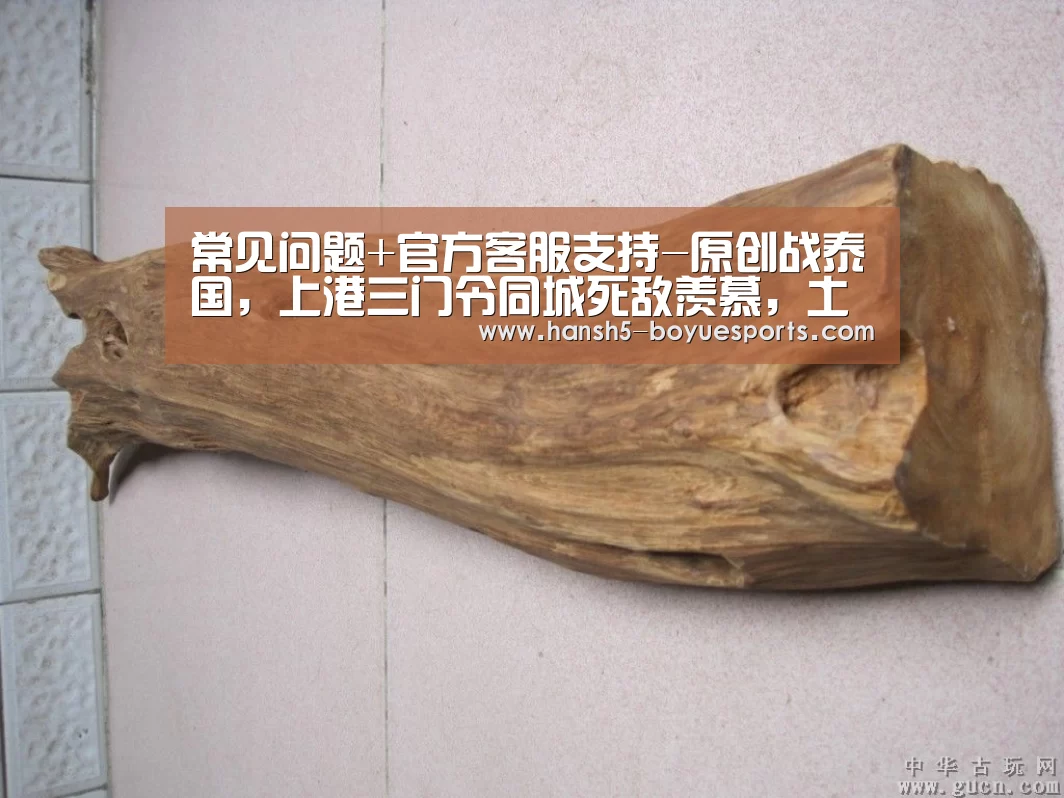  常见问题+官方客服支持