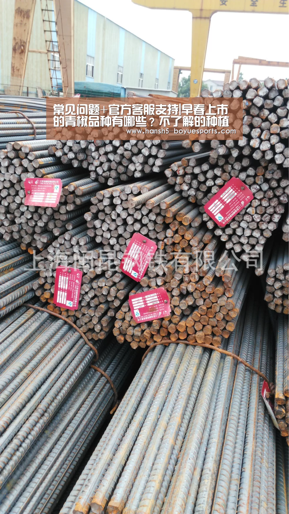 博鱼体育帮助中心 