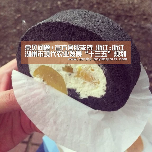 博鱼体育帮助中心 