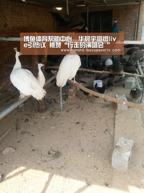 博鱼体育帮助中心 _华晨宇高燃live引热议 被赞“行走的演唱会 ”(图3) 博鱼体育帮助中心